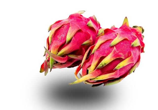 Dragon Fruit Cultivation Guide