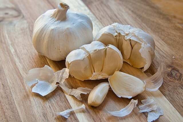 Early Garlic Growth: What You Need to Know and How to Rescue It