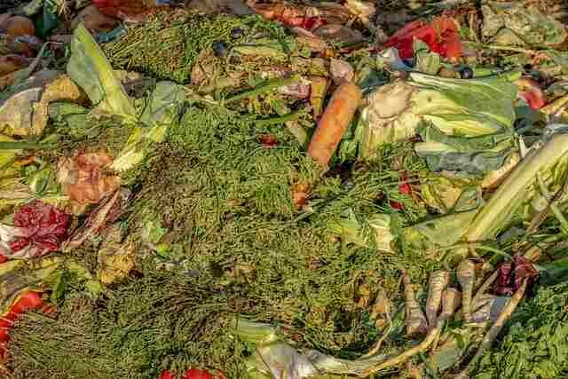 Homemade Weed Fertilizer