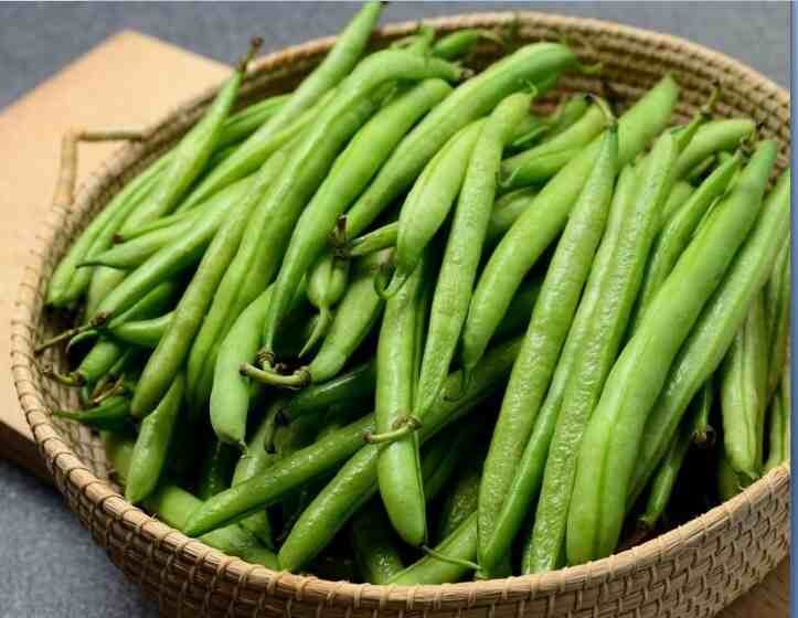 Shade-Loving Vegetable Plants for Your Garden Sanctuary-Bush Beans