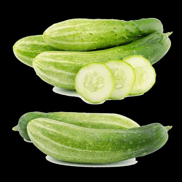 Cucumber Care Corner: 5 Simple Steps