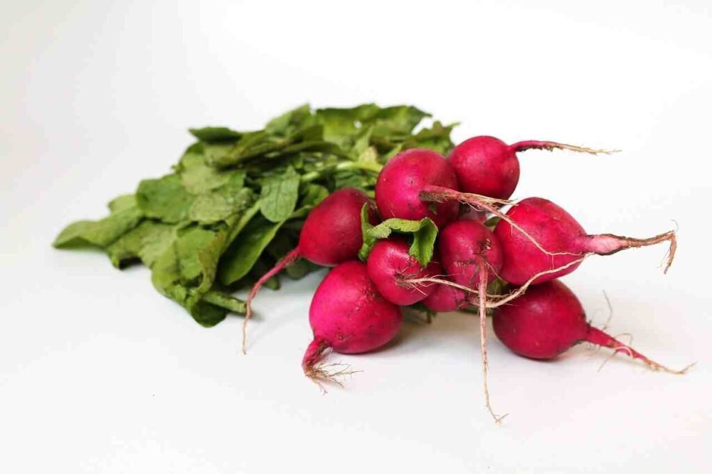 Discover What Happens When These 5 Veggies Go to Seed!-Radish