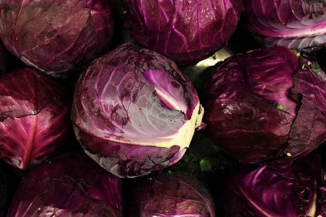 Exciting Plant Combinations for Your Raised Beds-red cabbage