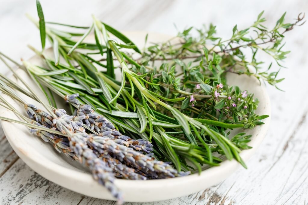 Herbs are some of the most fun and most rewarding things to grow in the garden.- Rosemary