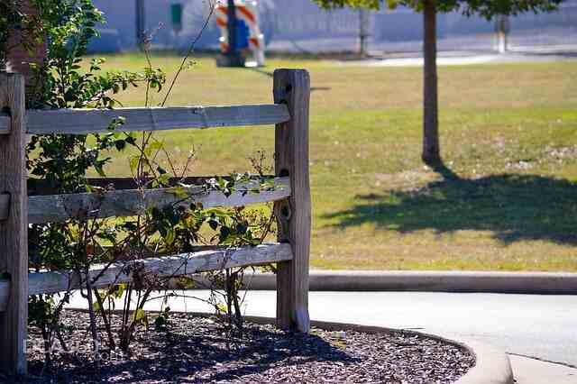 Essential Mulching Techniques Your Go-To Guide -Ruth Stout's No Work Gardening Method