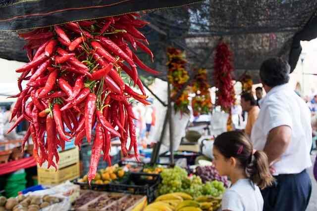 How to Grow Hatch Chiles in Containers -Hatch Chiles2