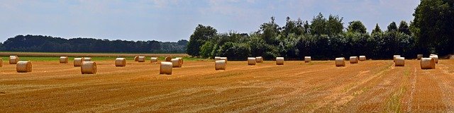 Simple Steps to Boost Your Garden's Growth -Straw Bales