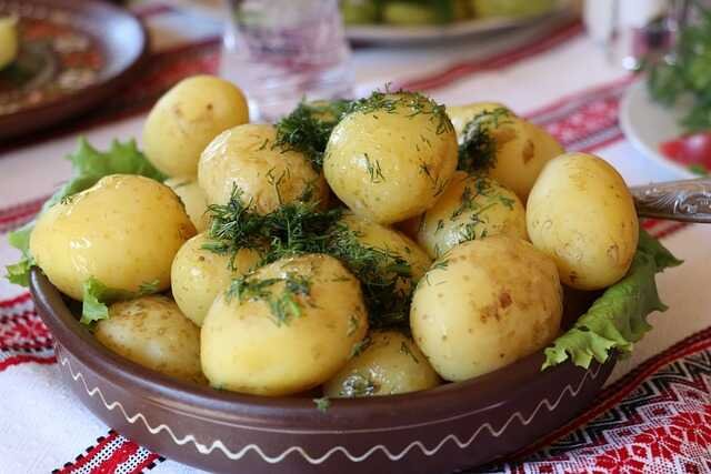 top 5 must grow vegetable-Potatoes