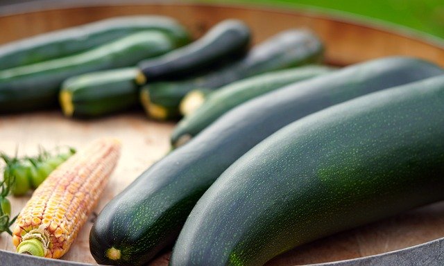 top 5 must grow vegetable-Zucchini