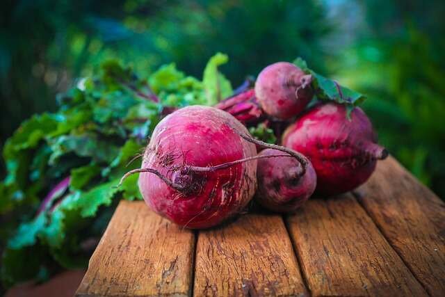 Grow These Easy Crops to Beat Inflation -Beets