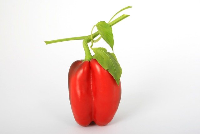 Grow These Easy Crops to Beat Inflation -Peppers