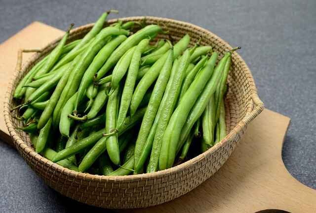 Maintaining-a-Vibrant-Garden-Harvest- Beans