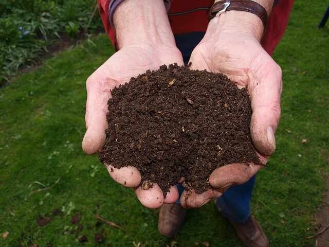 Starting Your Vegetable Garden -Composting Area