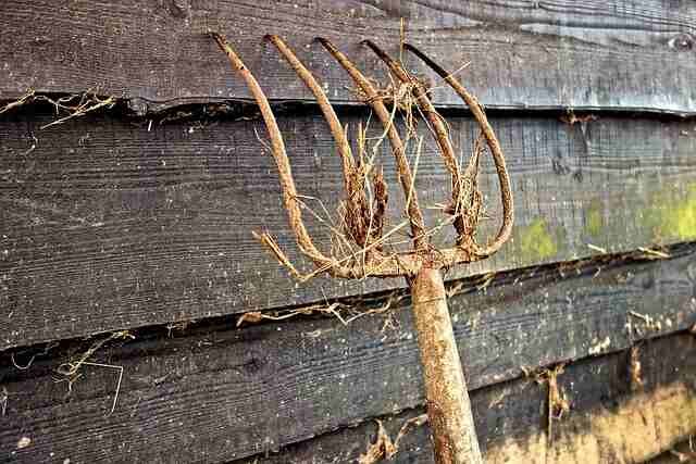 Top-8-Must-Have-Gardening-Tools-and-How-to-Use-Them-Fork Prong / Manure Fork