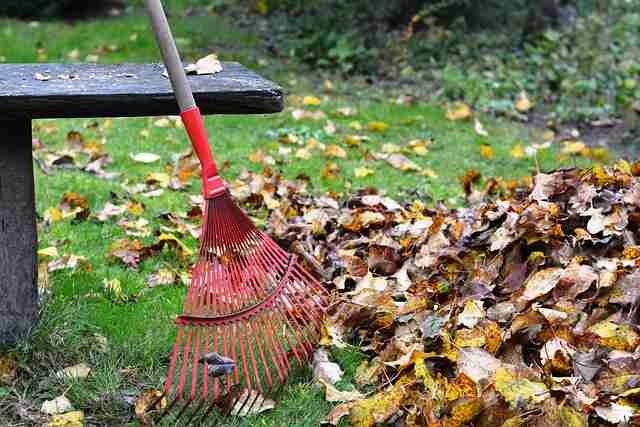 Top-8-Must-Have-Gardening-Tools-and-How-to-Use-Them-Rake – Uses and Types