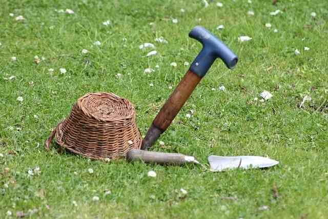 Top-8-Must-Have-Gardening-Tools-and-How-to-Use-Them-Long-Handled Dibber