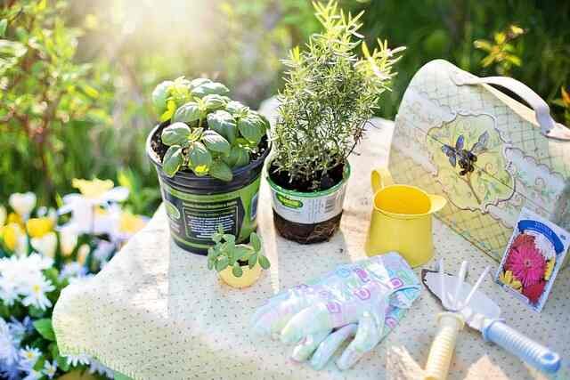 Top 8 Must-Have Gardening Tools and How to Use Them